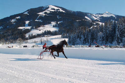 Pferderennen auf Schnee in Westendorf